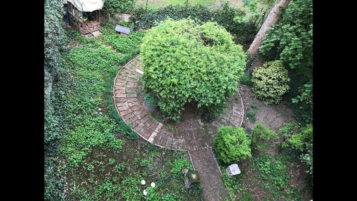 Appartement Casa Luminosa Con Giardino In Centro Storico à Reggio d'Emilie Extérieur photo